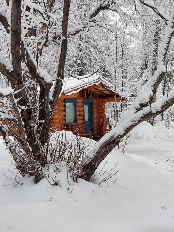 Hatcher Pass Cabins Palmer Exterior photo